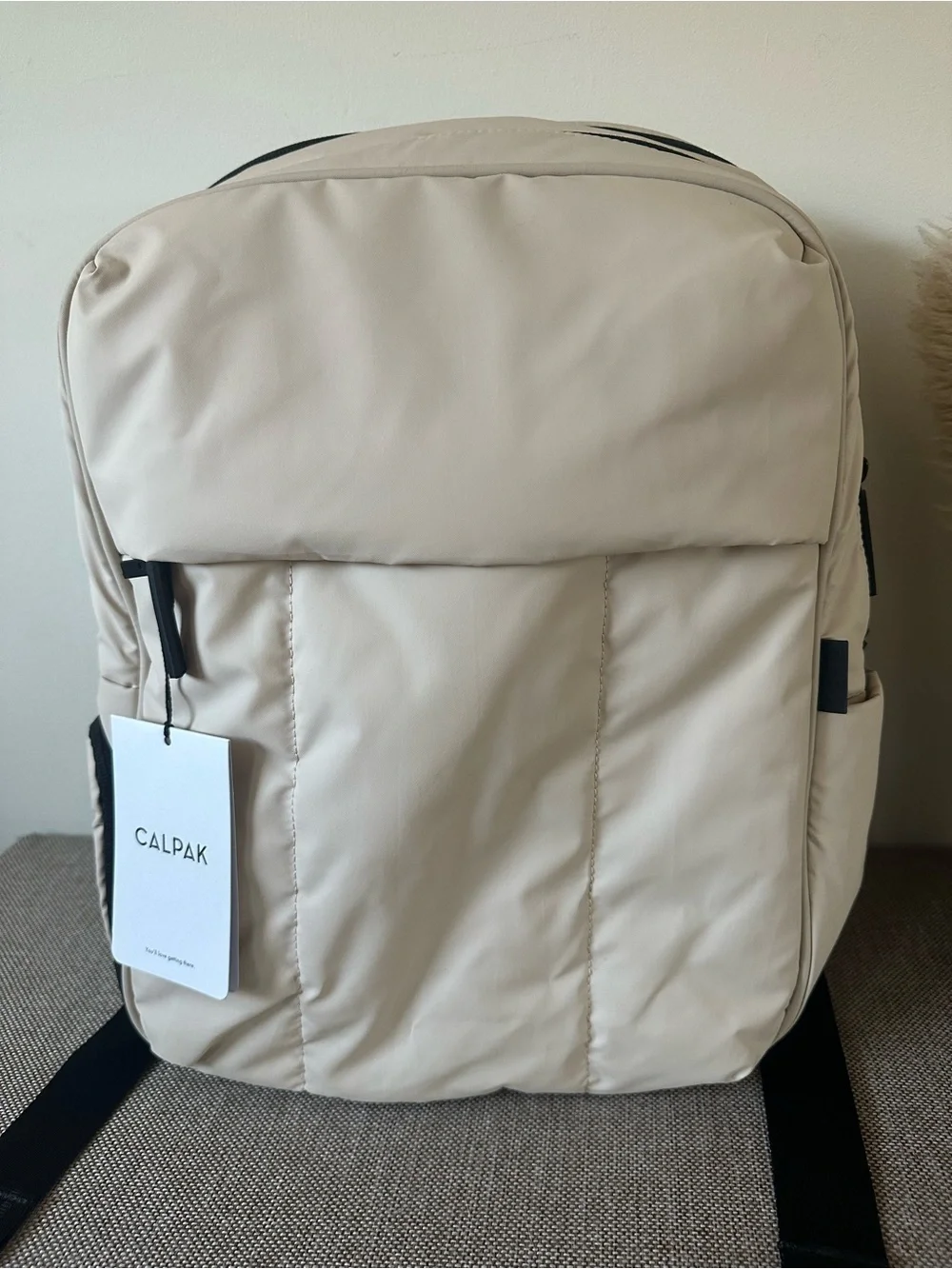 Luka 15 inch Laptop Backpack in Oatmeal Travel Bag